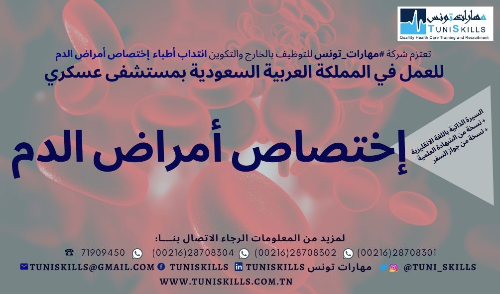 TuniSKILLS offres
